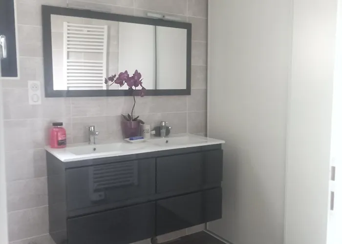 De Cammas モントーバン